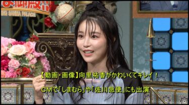 ＣＭにも多数出演していた向里祐香