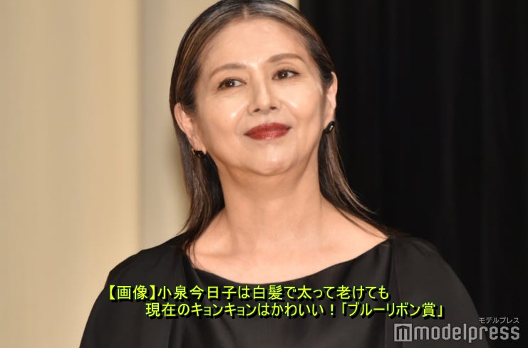 【画像】小泉今日子は白髪で太って老けても現在のキョンキョンはかわいい！｢ブルーリボン賞｣