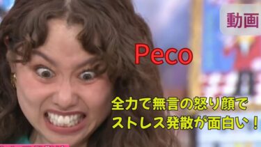 【動画･ぽかぽか】Pecoのストレス発散法の｢無言で全力怒り顔｣が面白い！松田元太も笑いすぎ