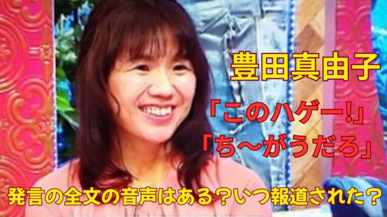 豊田真由子の｢このハゲー！｣｢違うだろ｣発言の全文の音声はある？いつ報道された？